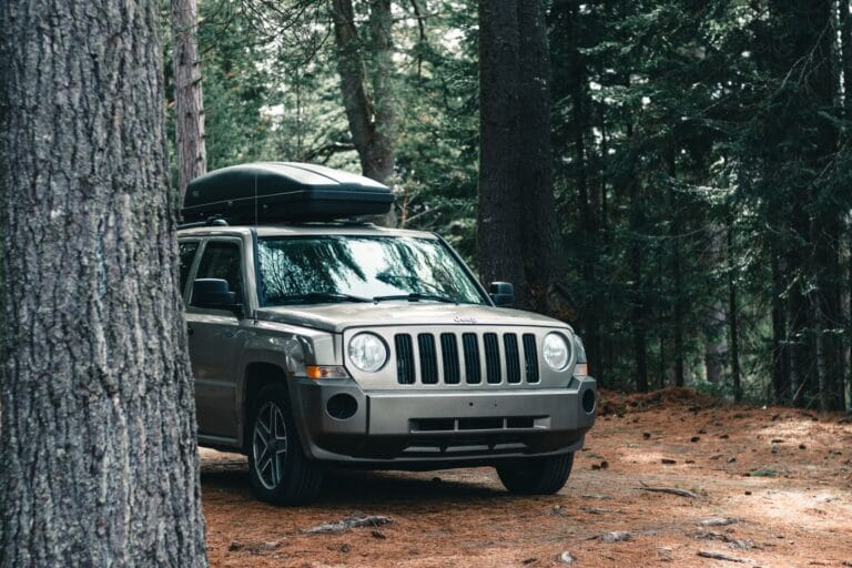 SUV z boxem dachowym zaparkowany w jesiennym lesie Algonquin Park
